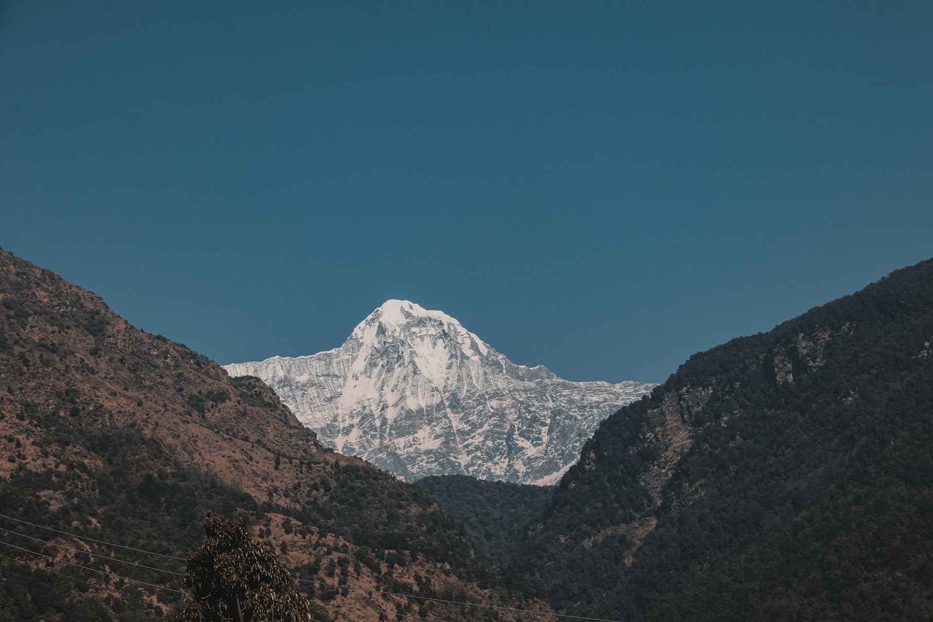 Annapurna Region